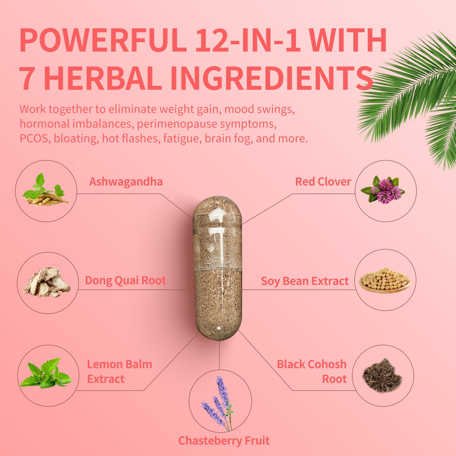 Hormone Balance for Women 12-in-1 Natural Ingredients-60 Vegan Capsules